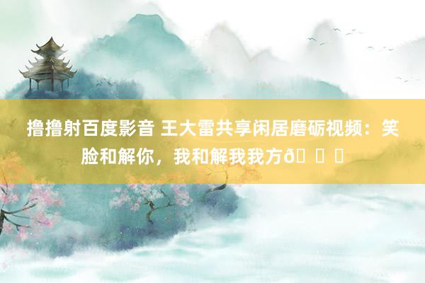 撸撸射百度影音 王大雷共享闲居磨砺视频：笑脸和解你，我和解我我方😄