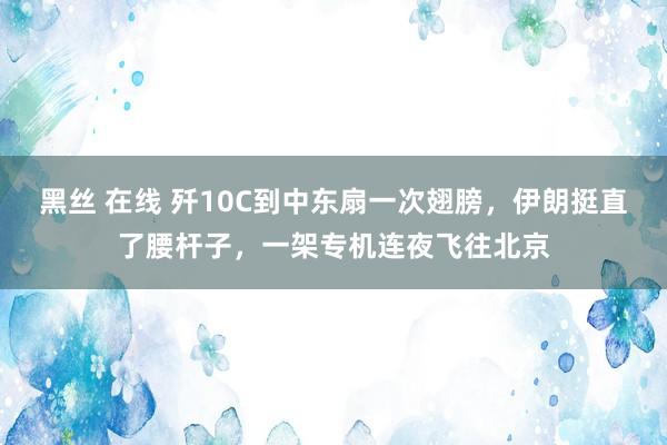 黑丝 在线 歼10C到中东扇一次翅膀,伊朗挺直了腰杆子,一架专机连夜飞往北京